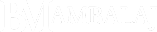 bmLogoB